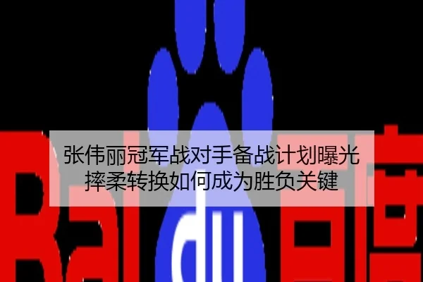 张伟丽冠军战对手备战计划曝光 摔柔转换如何成为胜负关键