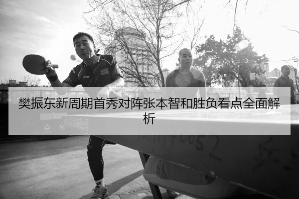 樊振东新周期首秀对阵张本智和胜负看点全面解析